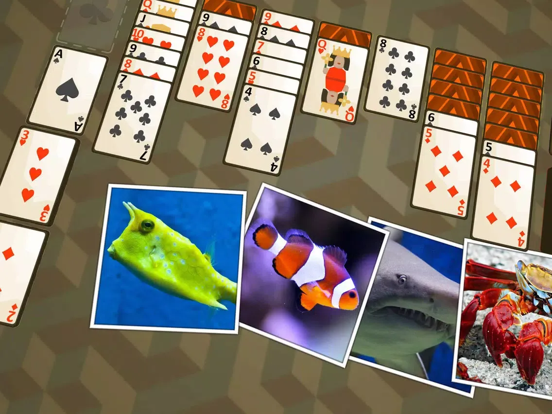 Solitaire Marine Life iPad  স্ক্রিনশট