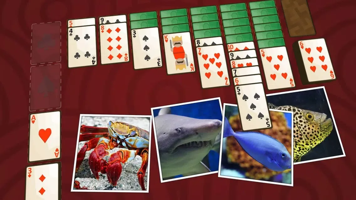 Solitaire Marine Life স্ক্রিনশট