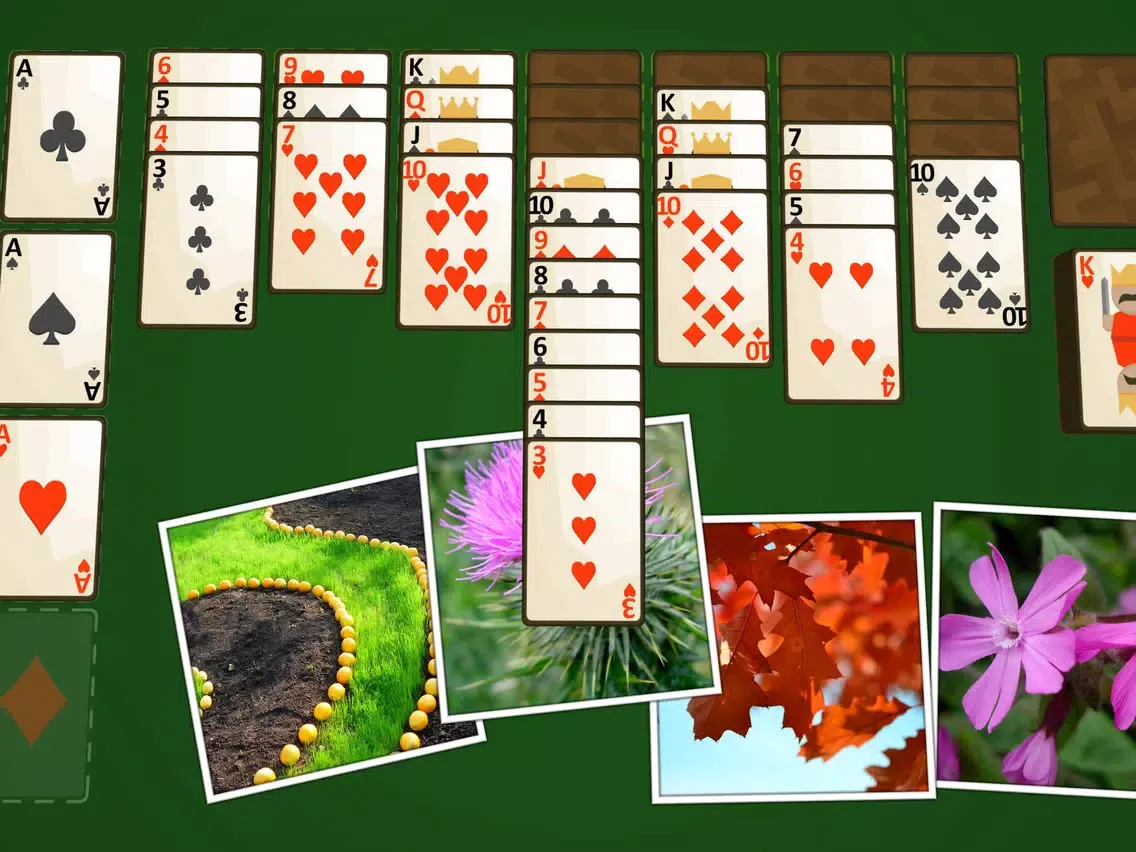 Tangkapan layar Solitaire Plants iPad 