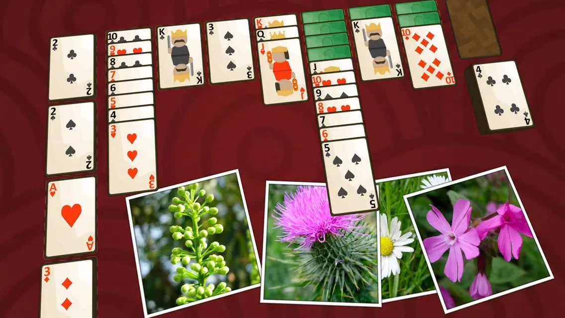 Tangkapan layar Solitaire Plants