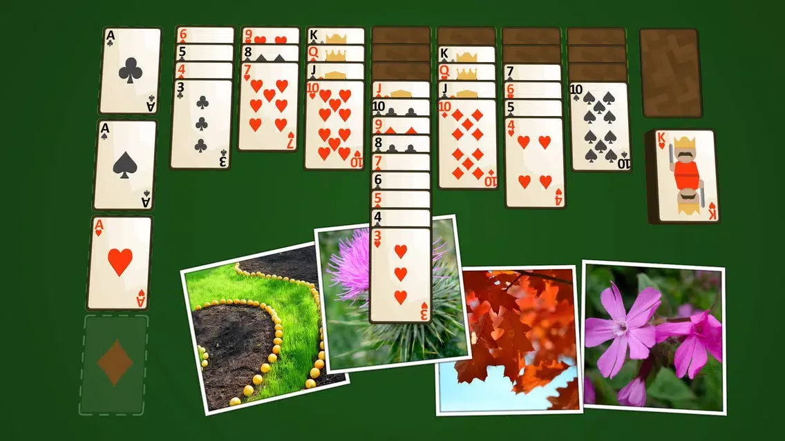 Tangkapan layar Solitaire Plants