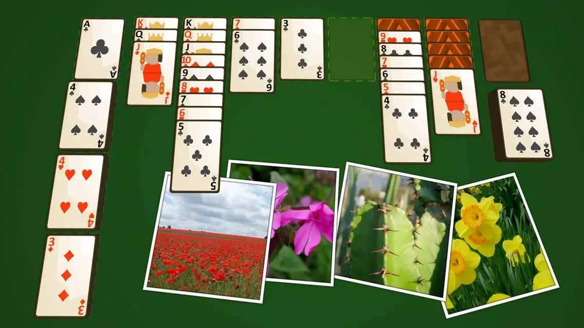 Tangkapan layar Solitaire Plants
