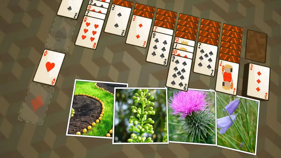 Tangkapan layar Solitaire Plants