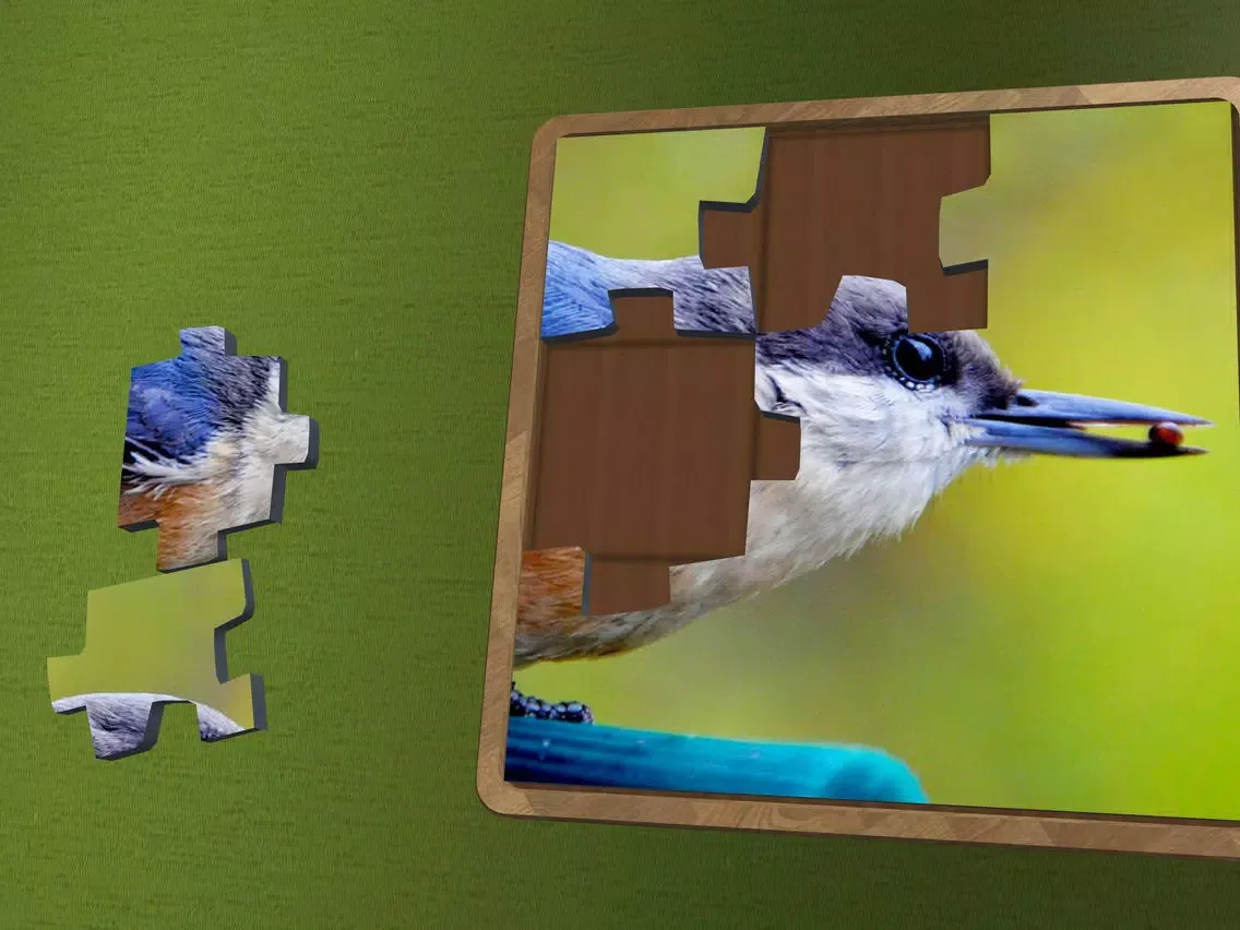 Super Jigsaws Birds iPad  Ekran Görüntüleri