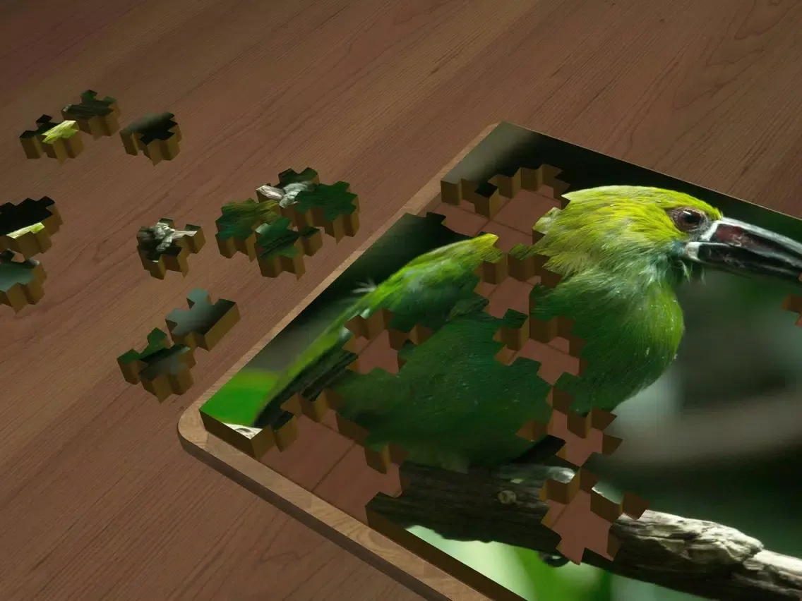 Super Jigsaws Birds iPad  Ekran Görüntüleri