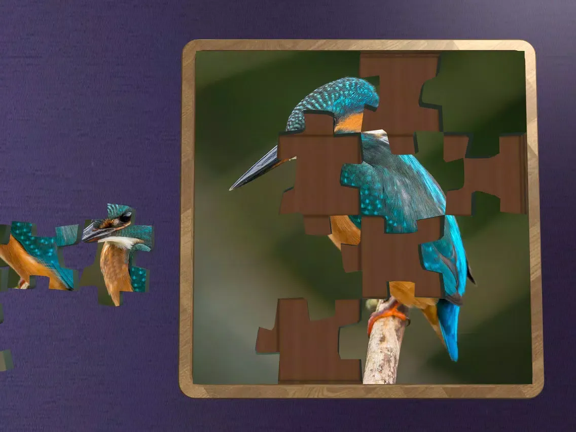 Super Jigsaws Birds iPad  Ekran Görüntüleri