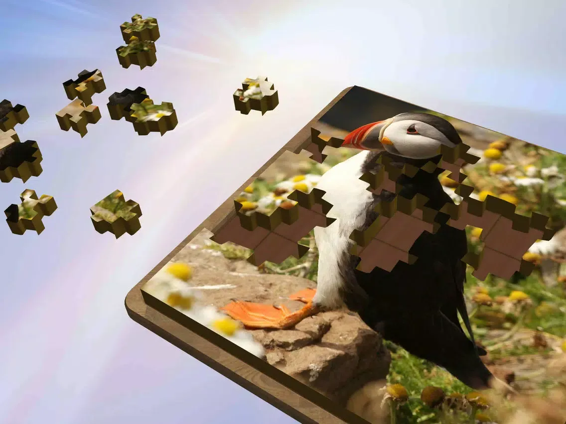 Super Jigsaws Birds iPad  Ekran Görüntüleri