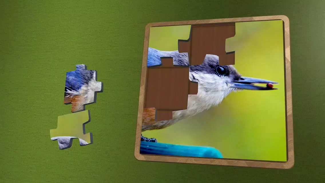 Super Jigsaws Birds Ekran Görüntüleri