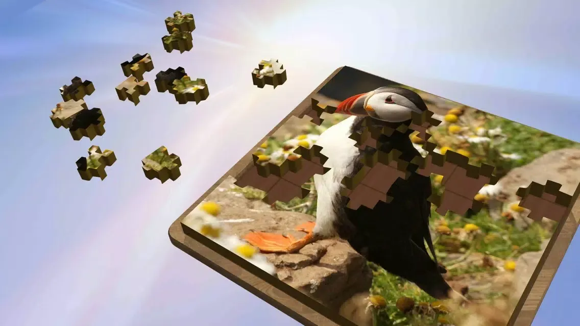 Super Jigsaws Birds Ekran Görüntüleri