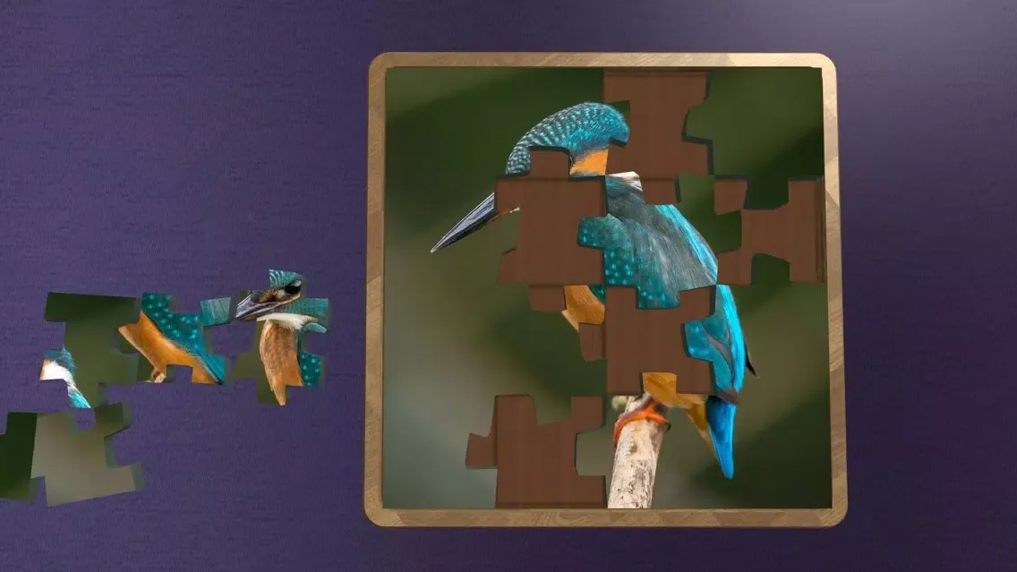 Super Jigsaws Birds Ekran Görüntüleri