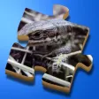 Super Jigsaws Bugs & Creatures Super Jigsaws Bugs & Creatures
