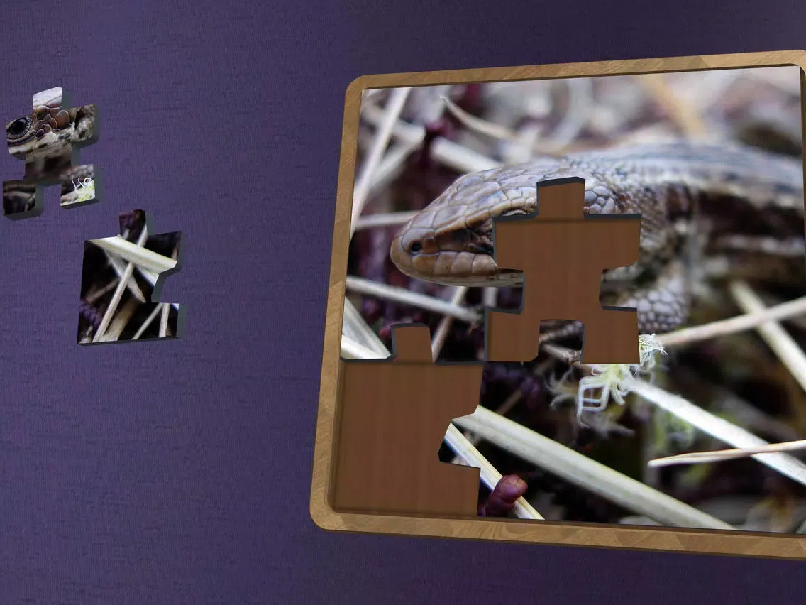 Tangkapan layar Super Jigsaws Bugs & Creatures iPad 
