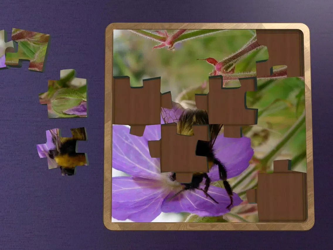 Tangkapan layar Super Jigsaws Bugs & Creatures iPad 