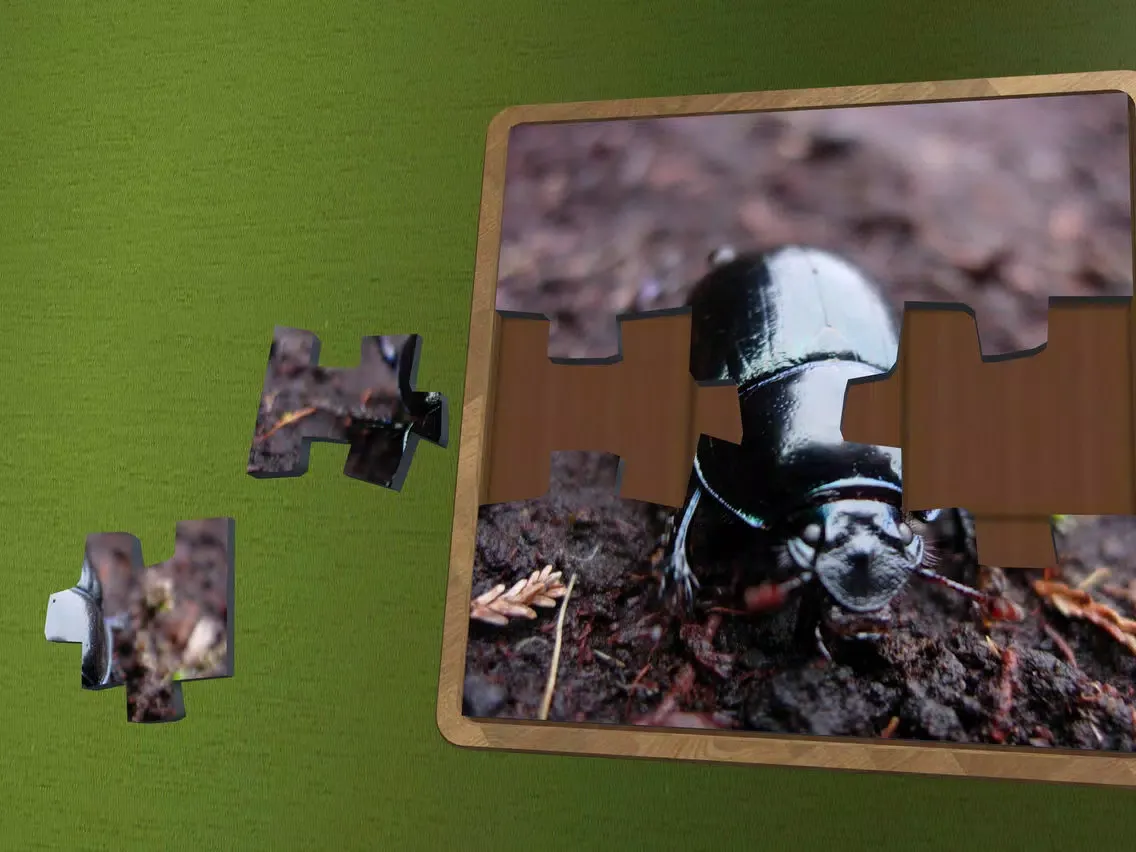Tangkapan layar Super Jigsaws Bugs & Creatures iPad 