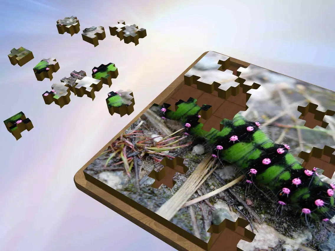 Tangkapan layar Super Jigsaws Bugs & Creatures iPad 