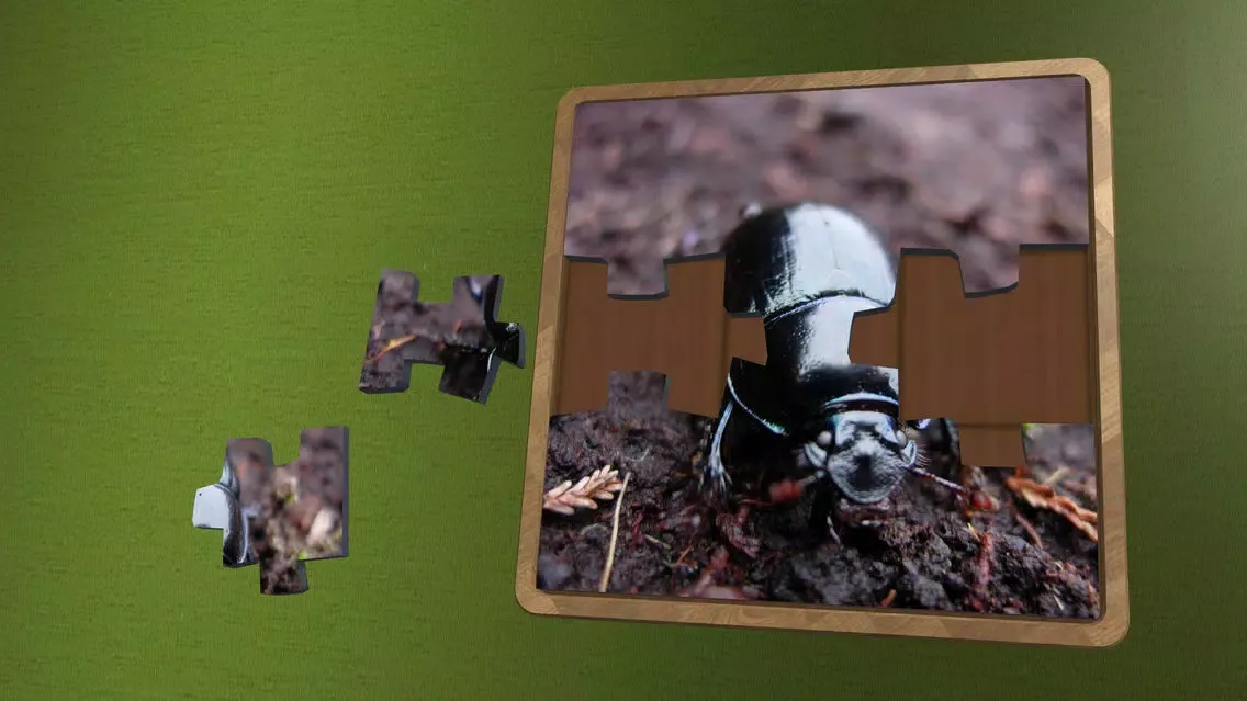 Tangkapan layar Super Jigsaws Bugs & Creatures