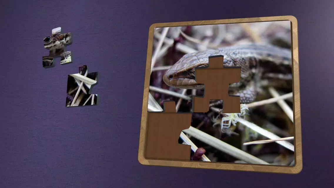 Tangkapan layar Super Jigsaws Bugs & Creatures