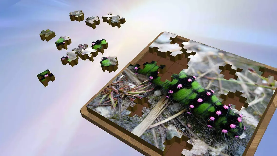 Tangkapan layar Super Jigsaws Bugs & Creatures