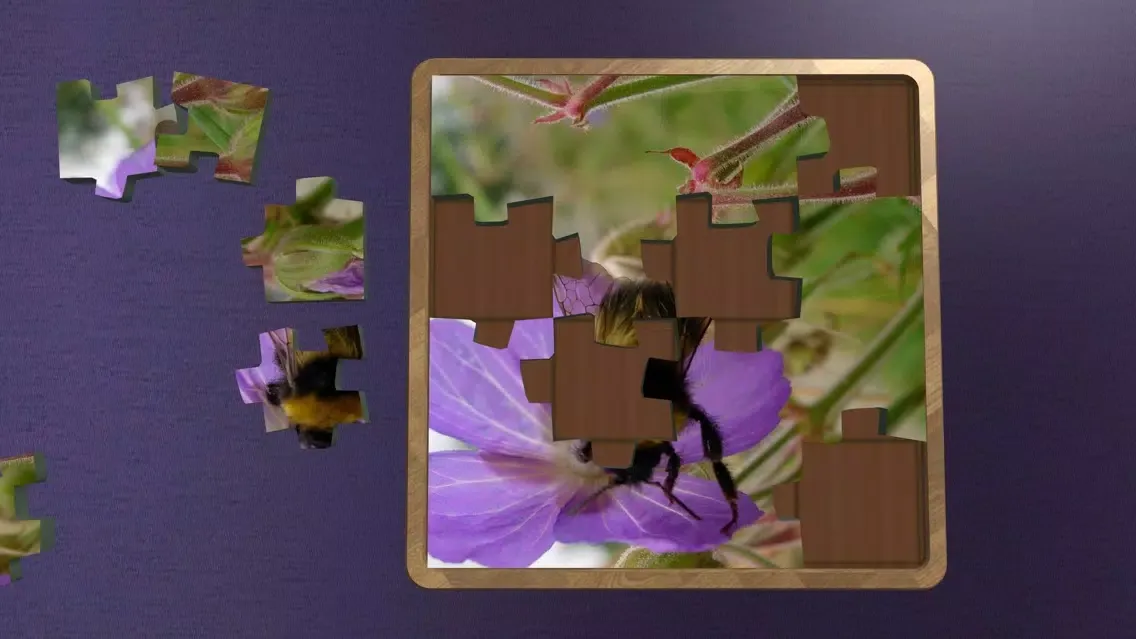 Tangkapan layar Super Jigsaws Bugs & Creatures