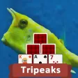 TriPeaks Marine Life