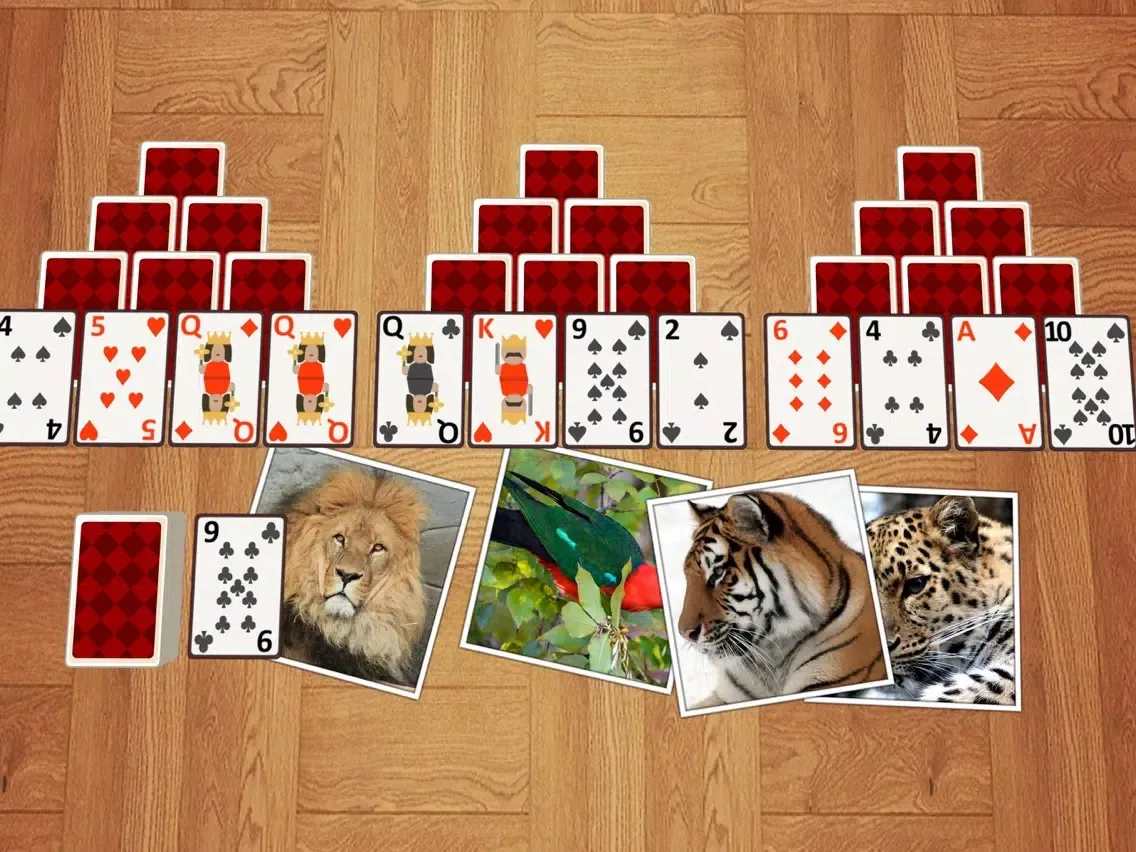 TriPeaks Wild Animals iPad 应用截图