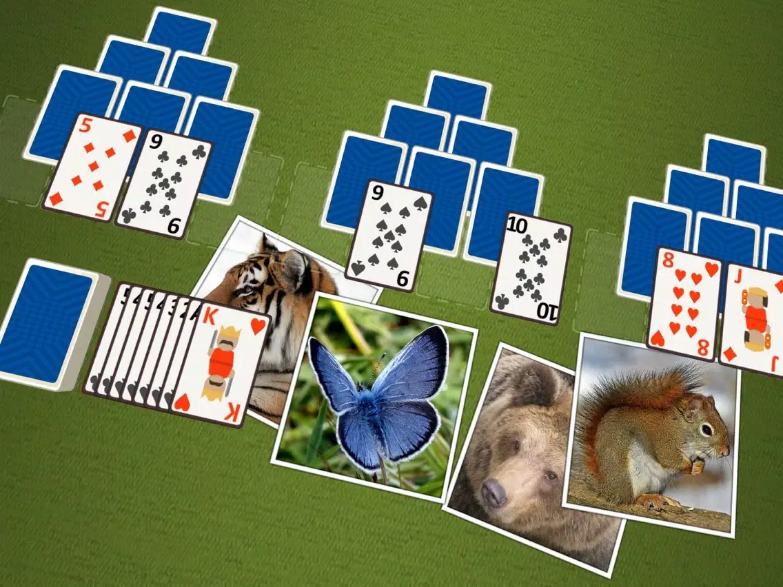 TriPeaks Wild Animals iPad 应用截图