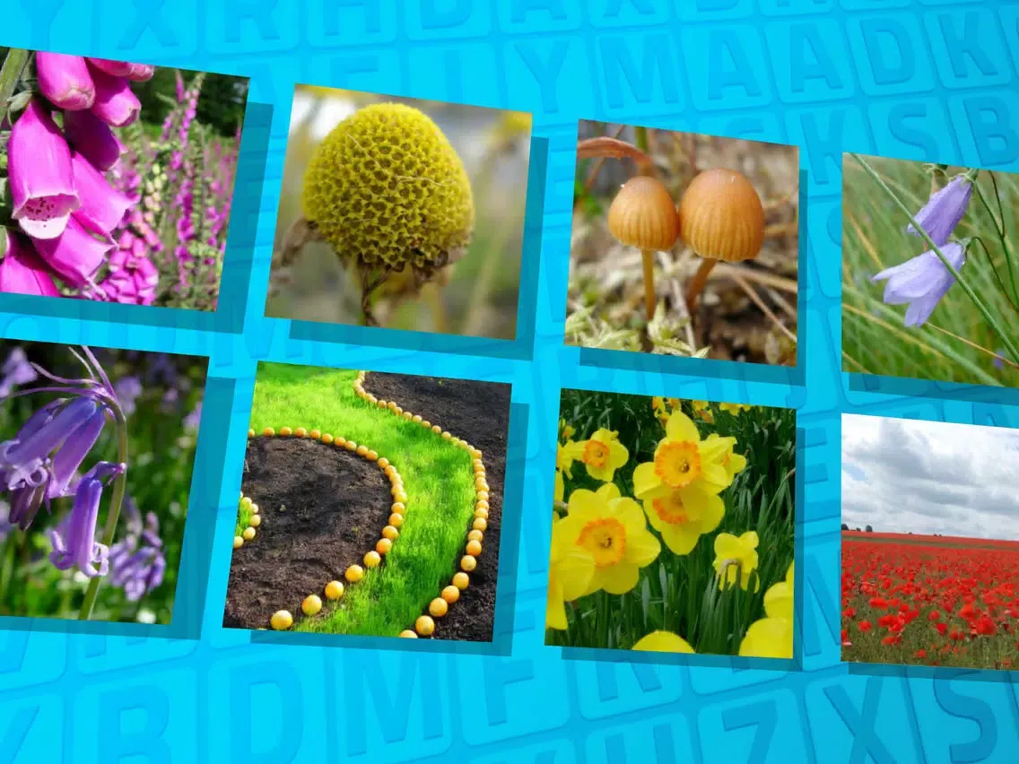 Ảnh chụp màn hình của Wordsearch Revealer Plants iPad