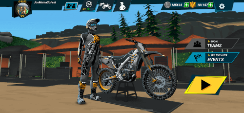 Mad Skills Motocross 3-screenshot-4