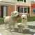 Dog Sim Online: Raise a Family