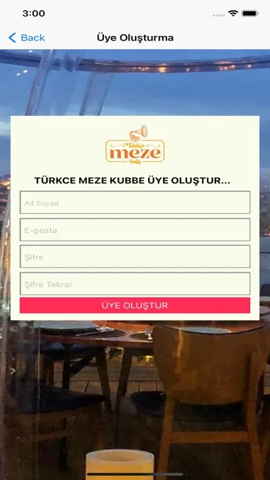 Türkçe Meze Kubbe Screenshots