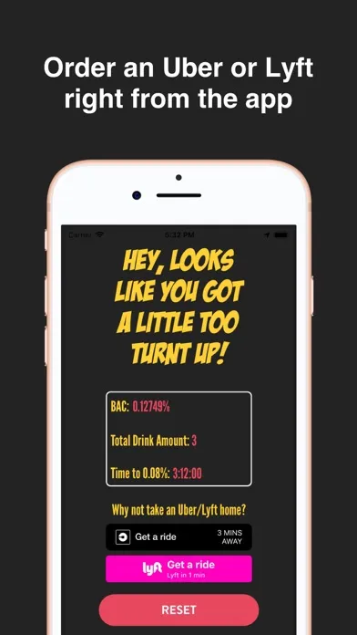 Turnt - Drink Counter应用截图
