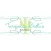 Turquoise Cactus Boutique