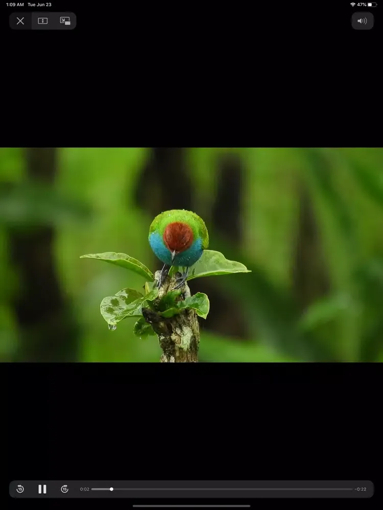 Phone Hardware Feel & Testing iPad  স্ক্রিনশট