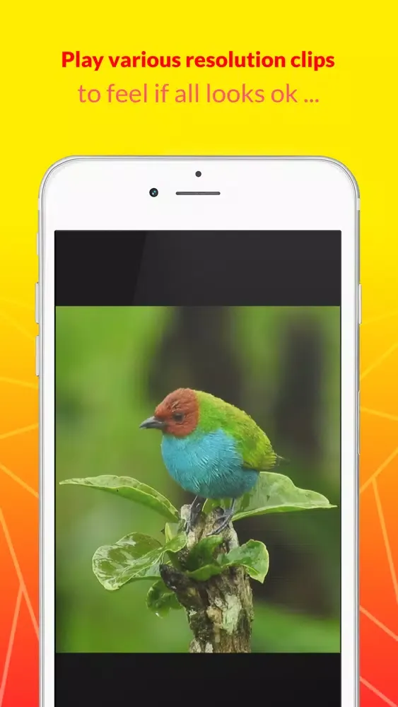 Phone Hardware Feel & Testing স্ক্রিনশট