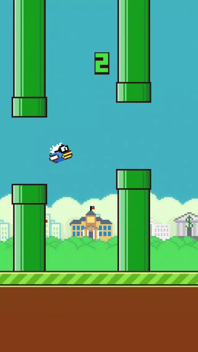 Captures d'écran de Flappy Bernie
