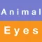 Animal Eyes idioms in English