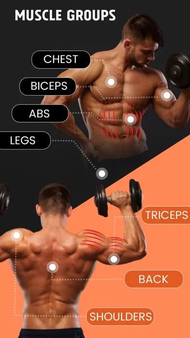 Dumbbell Workout: Hypertrophy স্ক্রিনশট