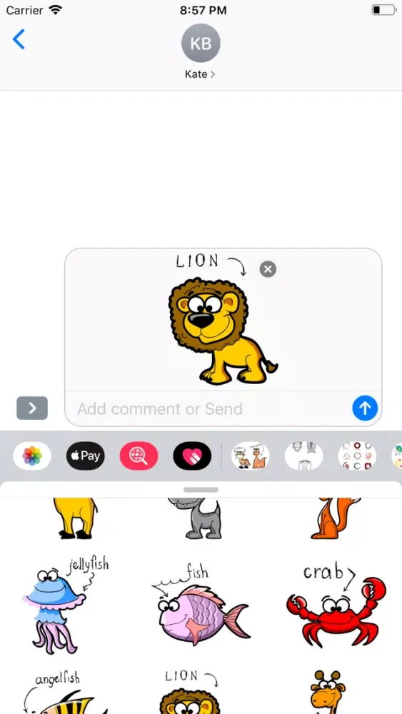 Ảnh chụp màn hình của AnimalNamesSetFSt