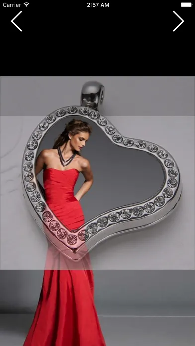 Silver Photo Frames & Photo Funia Picture Effects 스크린샷