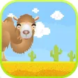 Jumpy Camel Jumpy Camel