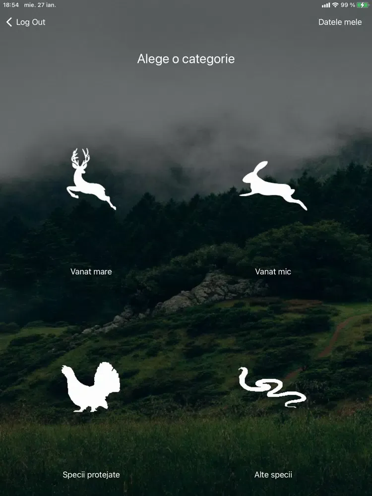 تصاویر WildPrint iPad 