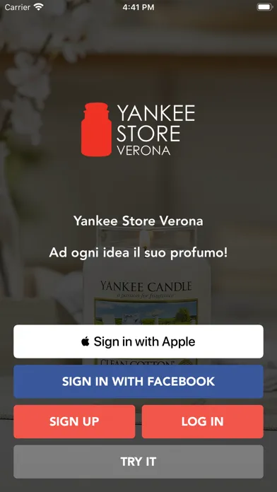 صور Yankee Store Verona
