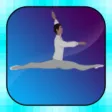 DanSeur