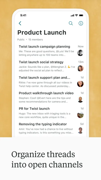Capturas de tela do Twist: Organized Messaging