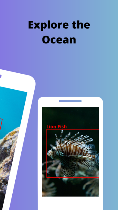 Zrzuty ekranu Photo Fish - Fish Identifier