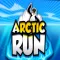 Arctic Run!