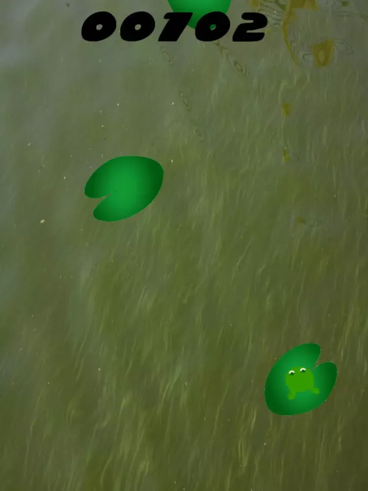 Zrzuty ekranu Lily Pad Hop iPad 