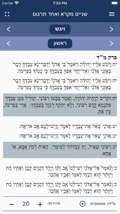 Ảnh chụp màn hình của שניים מקרא ואחד תרגום