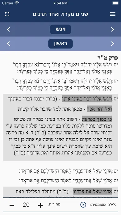 Ảnh chụp màn hình của שניים מקרא ואחד תרגום