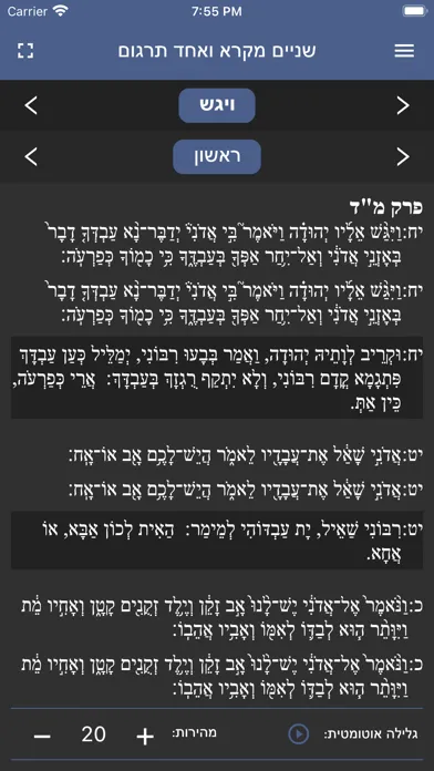 Ảnh chụp màn hình của שניים מקרא ואחד תרגום
